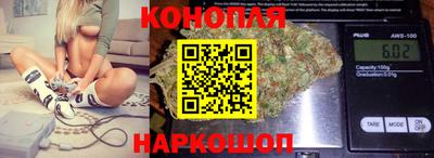 крисы Малгобек