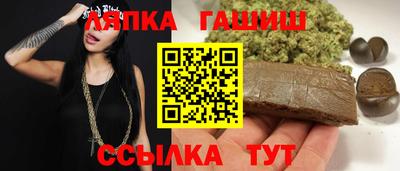 крисы Малгобек