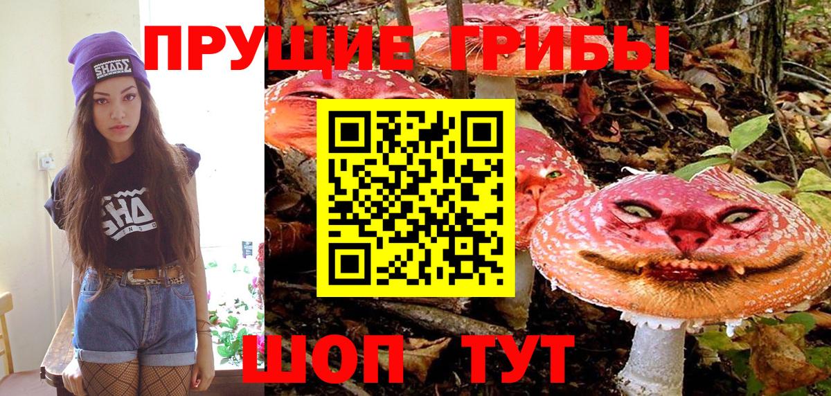 Псилоцибиновые грибы GOLDEN TEACHER  Галлюциногенные грибы MAGIC MUSHROOMS  Вход с VPN  Якутск 