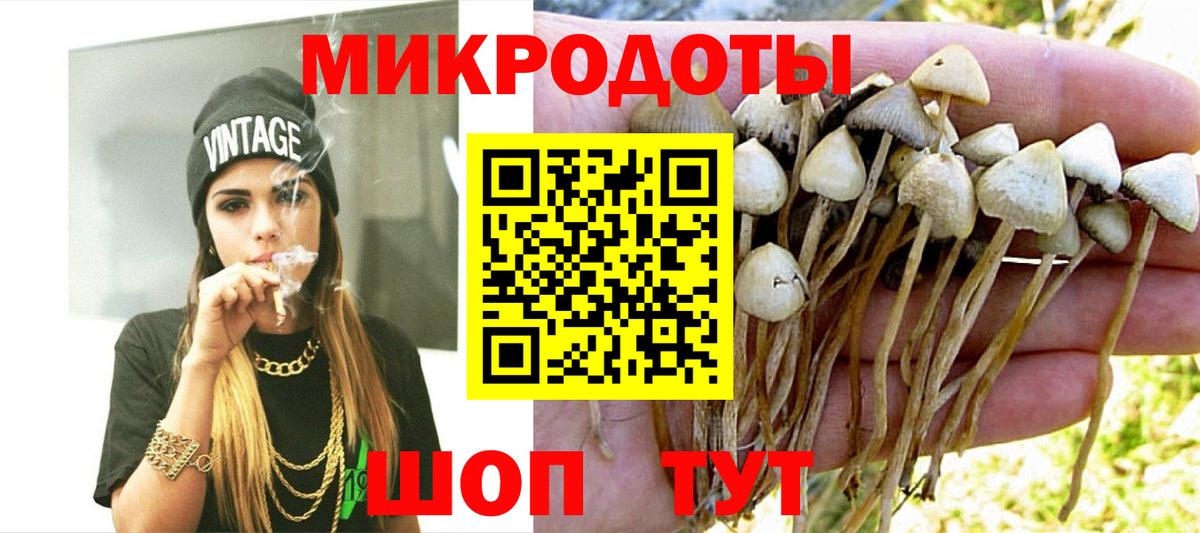 Псилоцибиновые грибы мицелий Якутск